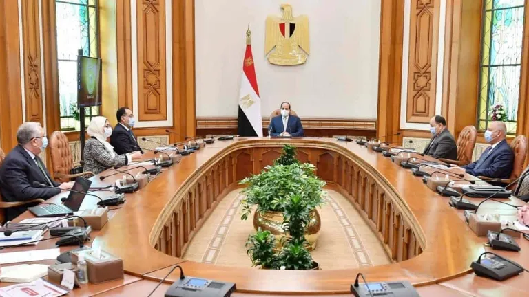 الرئيس السيسى يوجه بالبدء الفورى لإنشاء معامل الفحص المركزية النموذجية بالموانئ