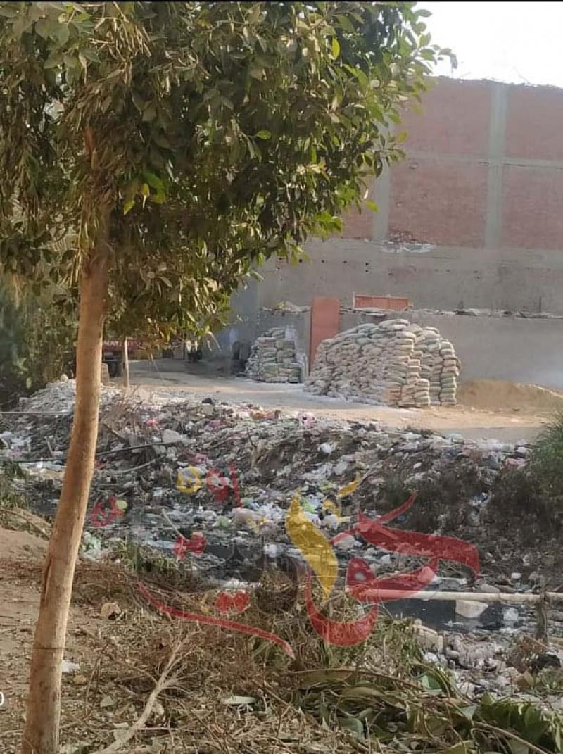 نائب محافظ الجيزة يأمر بتحرير محضر لورشة بلاط فى الحوامدية