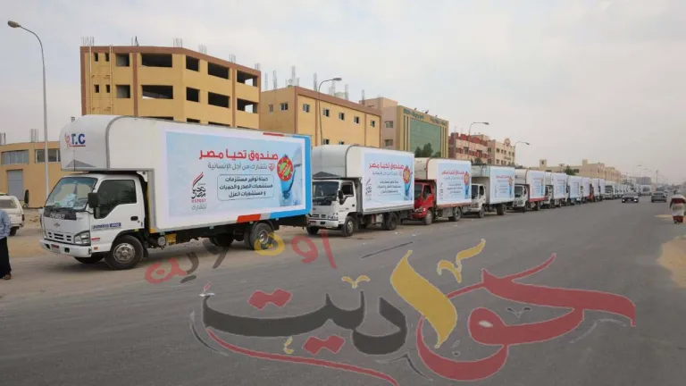 تحت شعار "نتشارك من أجل الإنسانية" .. صندوق تحيا مصر يطلق مبادرته الخامسة .. توفير يوفّر مستلزمات الأطقم الطبية في 21 مستشفى عزل وحميات