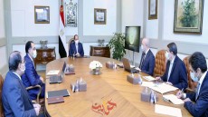 السيسى يتابع الأعمال الإنشائية الجارية فى العاصمة الإدارية الجديدة .. يوجه بالاهتمام بالمساحات الخضراء والتنسيق الحضاري