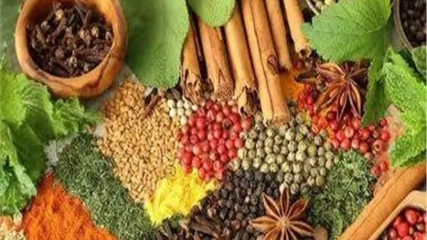 تعرفي على.. أعشاب للتخسيس بدون رجيم