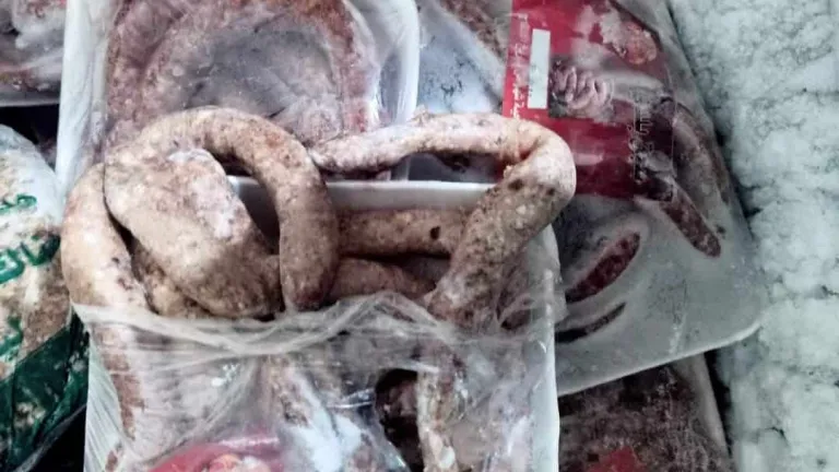 بالصور .. ضبط 2,7 طن لحوم ودواجن واسماك وكبده فاسدة بالهرم والطالبية وامبابة