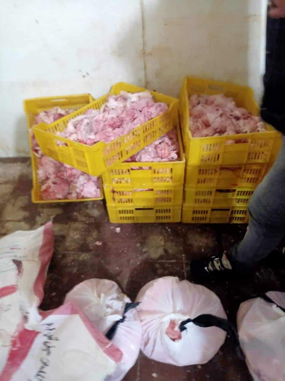 بالصور .. ضبط 2,7 طن لحوم ودواجن واسماك وكبده فاسدة بالهرم والطالبية وامبابة