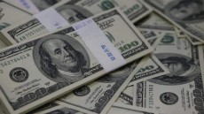 استقرار سعر الدولار أمام الجنية اليوم الجمعة