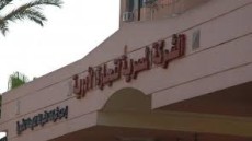 رسميًا.. نقل تبعية شركتى المصرية والجمهورية للأدوية لهيئة الشراء الموحد