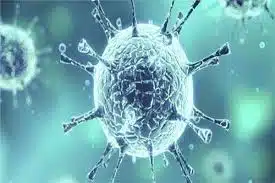 فيروس كورونا أصبح أكثر انتشارًا