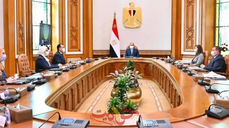 الرئيس السيسى يطلع على مخطط "المشروع القومي لتنمية الأسرة المصرية"
