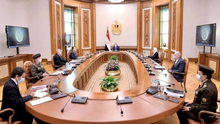 وفق أرقى ما وصل إليه العلم الحديث .. السيسى يوجه بكل من امتلاك القدرة العلمية والتكنولوجية في صناعة مشتقات البلازما الدقيقة والحيوية  .. استمرار المتابعة لتطورات جائحة كورونا في مصر