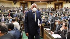 وزير الخارجية: مصر لن تتهاون مع أى ضرر لمصالحها أو يمس مقدرات شعبها