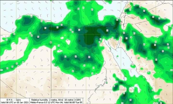 "الأرصاد" تحذر من شبورة تصل للضباب وانخفاض الرؤية الأفقية