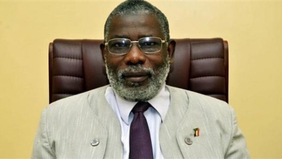 رئيس مفوضية الحدود بالسودان: مسار الحدود مع إثيوبيا لا رجعة فيه