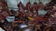كارثة .. غلق وتشميع مطعم شهير فى الجيزة .. ضُبط بمخزنه ما يقرب من 3 طن لحوم فاسدة (صور)