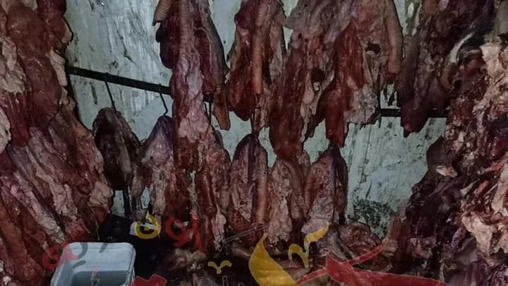 كارثة .. غلق وتشميع مطعم شهير فى الجيزة .. ضُبط بمخزنه ما يقرب من 3 طن لحوم فاسدة (صور)
