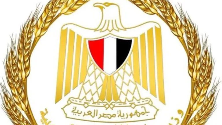 التموين: طرح كميات من مخزون القمح للبيع للمطاحن عبر منصة البورصة .. هذا هو الموعد