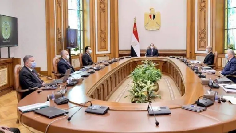 الرئيس السيسى يوجه باستكمال استصلاح اراضى توشكى .. النهوض بمنظومة القطن المصري وإعادته لمكانته العالمية