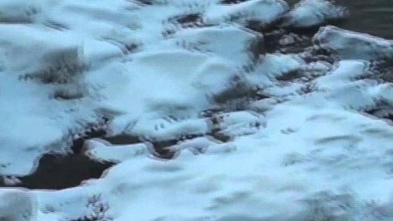 شاهد بالفيديو .. شلالات نيجرا فى نيويورك تتجمد نتيجة موجة صقيع ضربت الولايات المتحدة