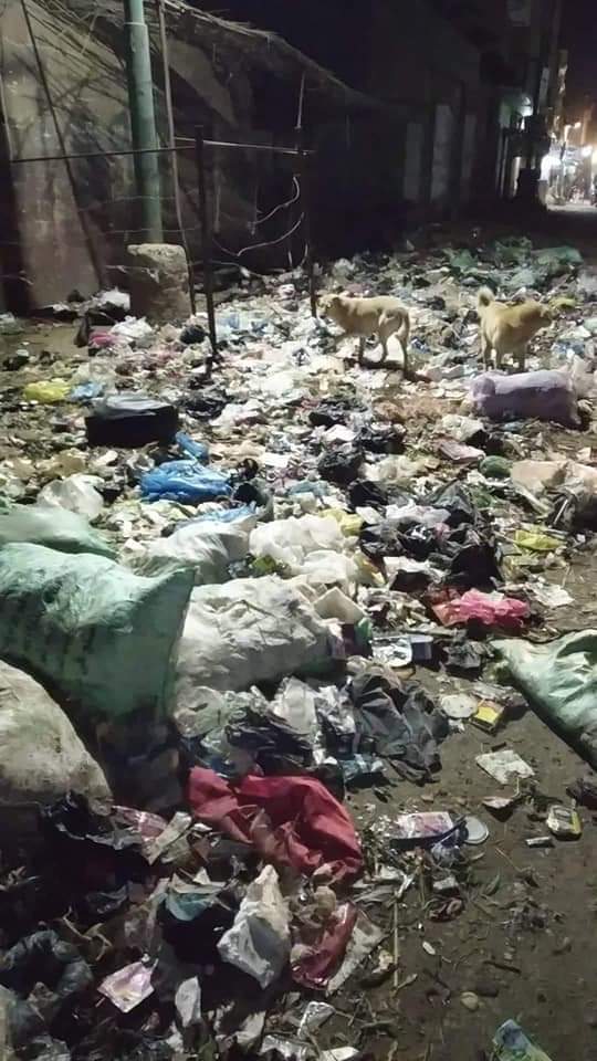محافظة الجيزة تعانى من الإهمال وتدنى الخدمات وتراكم القمامة.. صور