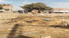 بحضور نائبي المركز..تجريد طريقي 21 والأوتوستيراد ورفع المخلفات وشفط مياه الأمطار