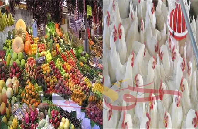 اسعار الدواجن واللحوم والأسماك والفاكهة اليوم الجمعة 5 فبراير 2021 فى سوق العبور