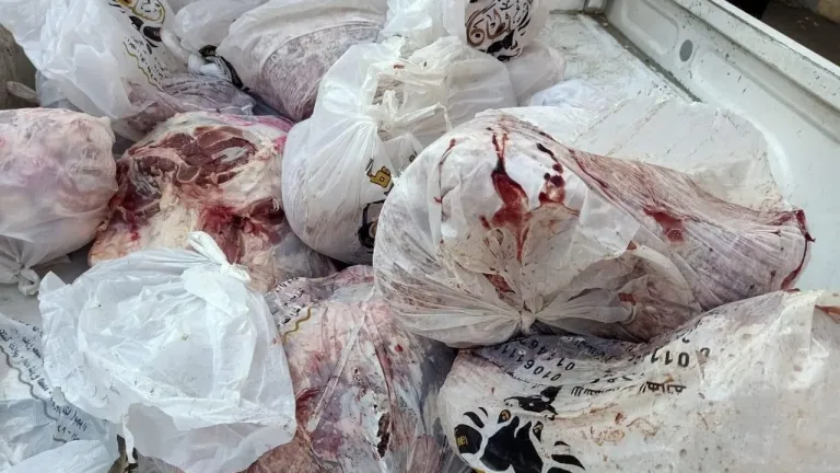 ضبط 31 طن لحوم ودواجن وكبدة وأسماك غير صالحة للإستهلاك الادمي فى الجيزة .. منها البدرشين