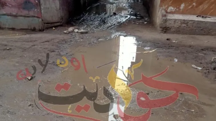 شاهد بالفيديو والصور: غرق الشوارع نتيجة كسر ماسورة .. أهالى الحوامدية لمدير محطة المياه سئمنا من تجاهل شكوانا