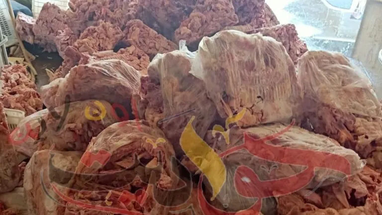 بالصور.. ضبط 3 أطنان هياكل دواجن غير صالحة للاستهلاك الآدمي بكرداسة
