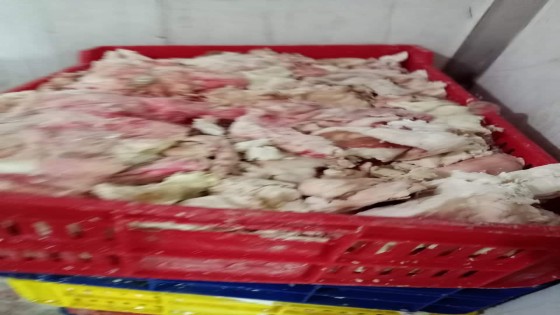 بالصور .. ضبط 3 طن لحوم مجمدة ومفروم دواجن غير صالحة للاستخدام الادمي بإمبابة والهرم