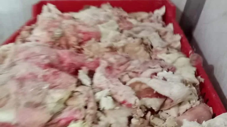 بالصور .. ضبط 3 طن لحوم مجمدة ومفروم دواجن غير صالحة للاستخدام الادمي بإمبابة والهرم