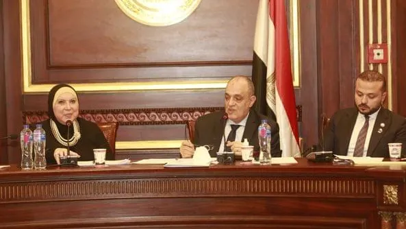 نيفين جامع لمجلس النواب: باب التقديم مفتوح أمام المستثمرين الراغبين فى الحصول على وحدات بالمجمعات الصناعية الجديدة
