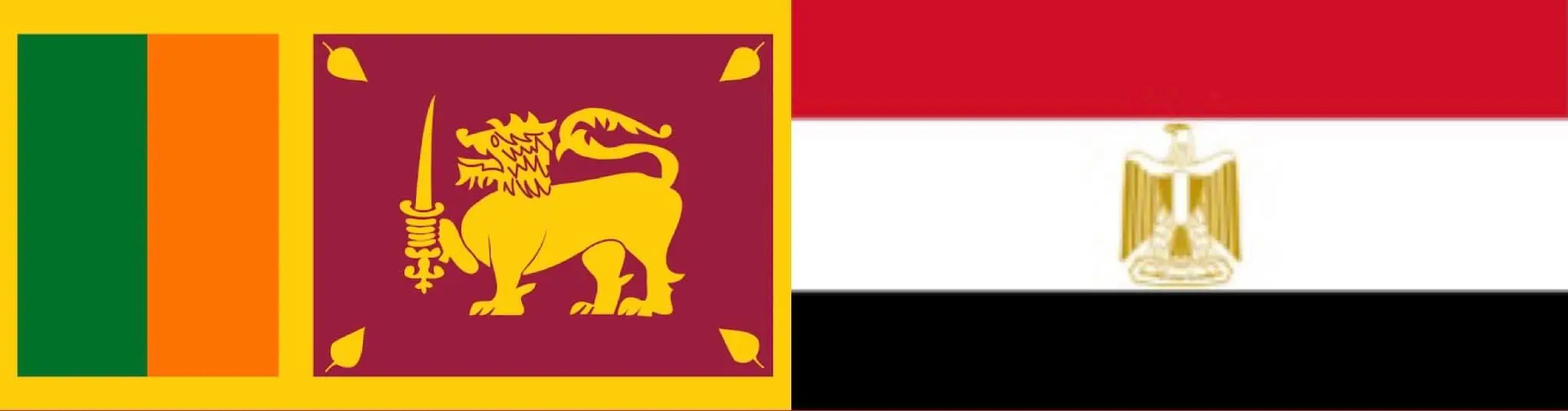 لهذه الأسباب .. الرئيس السيسى يتلقى اتصالا هاتفياً من رئيس جمهورية سريلانكا