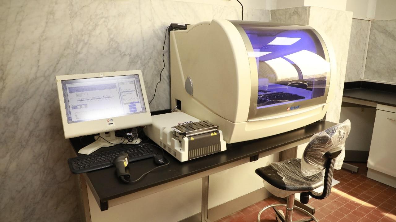 لمتابعة جائحة كورونا .. معمل جديد بمواصفات عالمية للأمان الحيوي بجامعة القاهرة