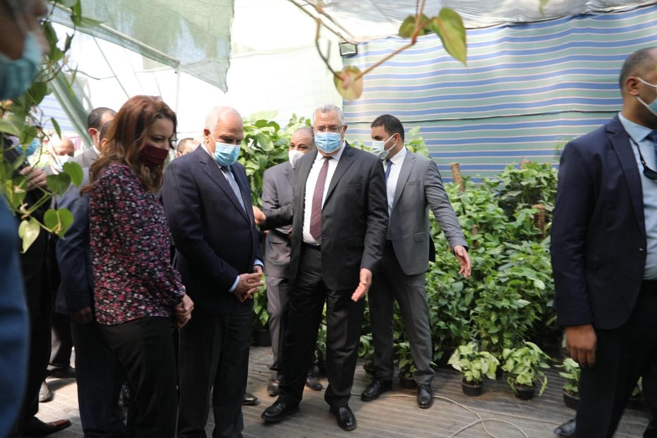 راشد: يدعوا مواطنى الجيزة لزيارة معرض الزهور بحديقة الأورمان