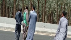 مصرع شاب صدمته سيارة بالدائرى الأوسطى فى الشنباب