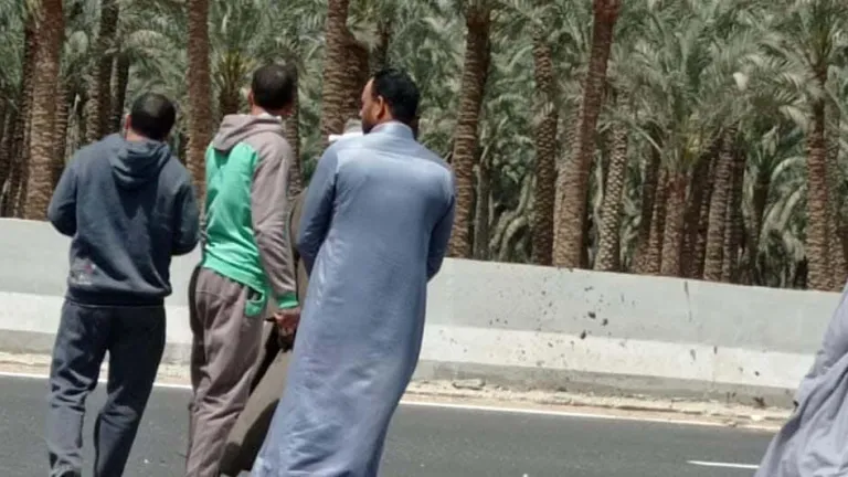 مصرع شاب صدمته سيارة بالدائرى الأوسطى فى الشنباب