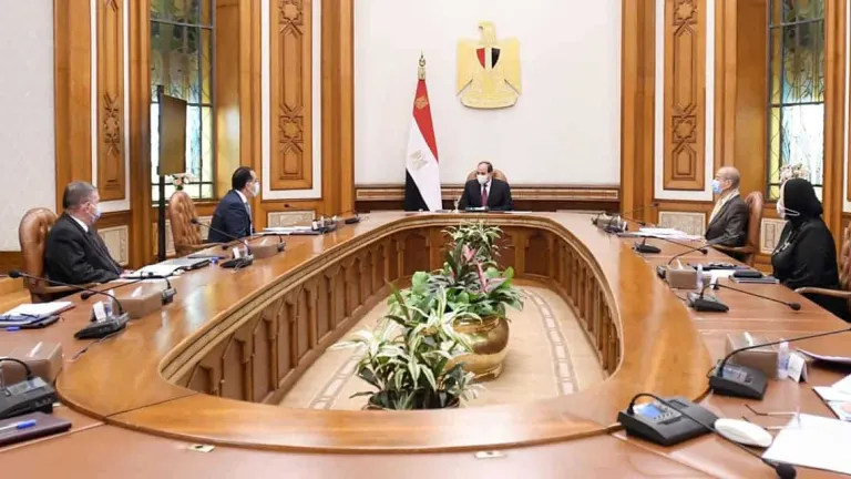 السيسي يُصدر توجيها جديدا بشأن توطين السيارات الكهربائية فى مصر