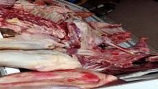 الجيزة تضبط ٢١ طن لحوم وأسماك ودواجن وكبدة غير صالحة للاستخدام الادمي