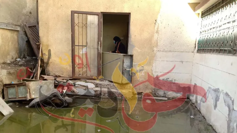 عاجل لمحافظ الجيزة ووكيل وزارة الصحة: صحة الحوامدية تهدر صحة طلاب المدارس .. الطلاب انقذونا من خطر الاصابة بكورونا والامراض الاخرى .. المدرسة تسبح فى مياه المجارى