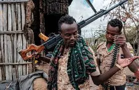 هجمات مسلحة غرب اثيوبيا تسفر عن مقتل 20 شخصاً