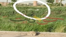 صورة واقعية من قلب الحدث