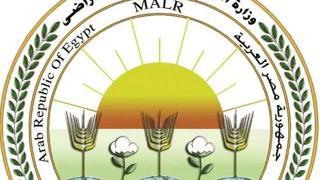الزراعة "الخدمات البيطرية" تعالج وتفحص أكثر من 350 ألف رأس ماشية وطائر
