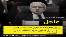 هذا ما قال وزير الخارجية الفلسطيني أمام مجلس الأمن