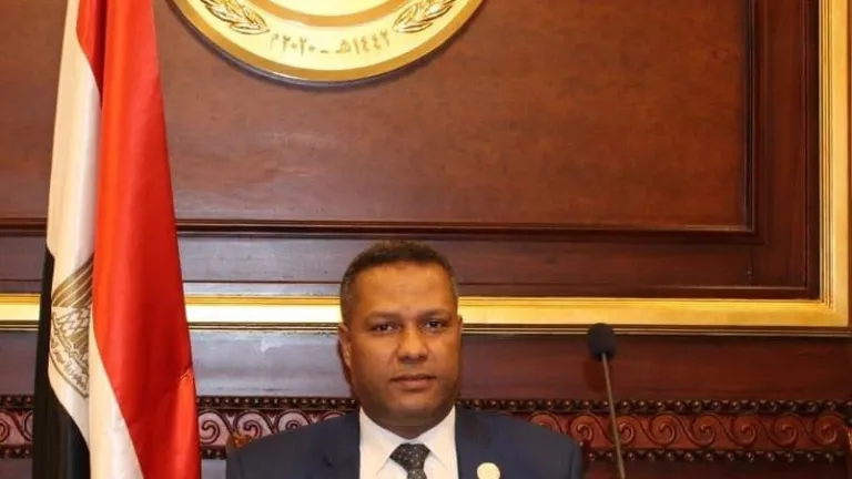 نائب بالشيوخ مشيدًا بوقف إطلاق النار بقطاع غزة: مصر استعادت في عهد الرئيس السيسي دورها عالميا