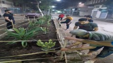 بالجهود الذاتية .. شباب منطقة الرضا يجملون شارع النزهة فى الحوامدية