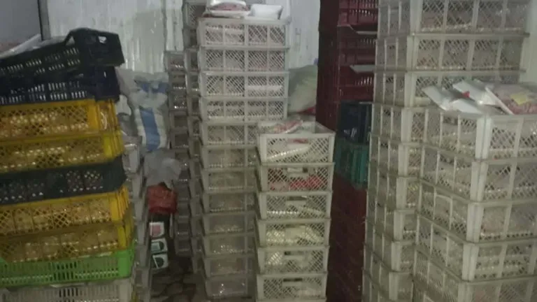الجيزة: ضبط 30 طن لحوم وأسماك ودواجن غير صالحة للاستخدام الادمي .. المحافظ يعطى توجيهات هامة