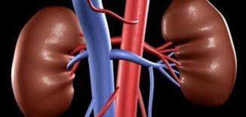 عوامل خطر تهدد صحة الكلى .. للحفاظ عليها اتبع هذه النصائح
