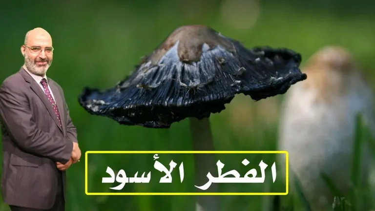 تعرف على مرض الفطر الأسود مع الدكتور أمير صالح