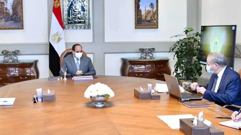 توجيهات هامه للسيسى .. منها تطوير وميكنة منظومة الصوامع والمخازن الاستراتيجية للمواد التموينية