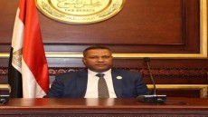 النائب محمد حمزة : 30 يونيو حققت إرادة الشعب المصري في اختيار دستوره وقيادته الرشيدة