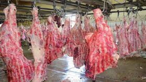 محافظة الجيزة تعلن فتح المجازر بالمجان طوال أيام عيد الأضحى المبارك