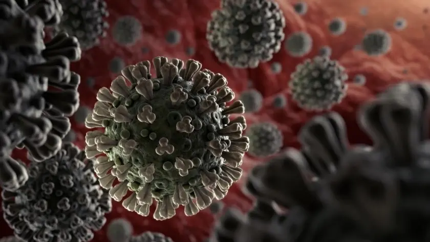 فيروس جديد يهدد العالم اشد شراسة من كورونا .. العلماء قلقون .. تعرف على التفاصيل